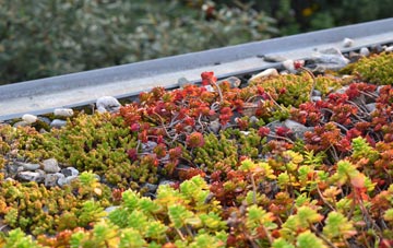 the cost of Foster Street green roof installation