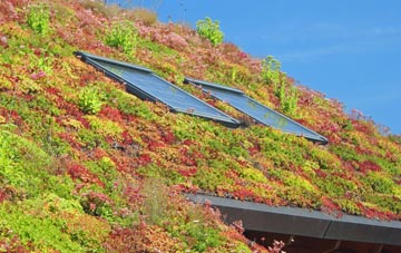 Foster Street living roof systems